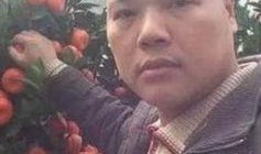 娱乐吃瓜橘子哥,娱乐吃瓜界的风云人物